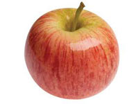 Плодовые деревья яблок - ГАЛА