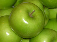 Voćne sadnice jabuke - GRENI SMIT ČELENDŽER