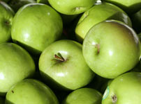 Плодовые деревья яблок - ГРАННИ СМИТ