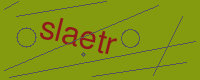 Captcha slika