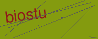 Captcha slika
